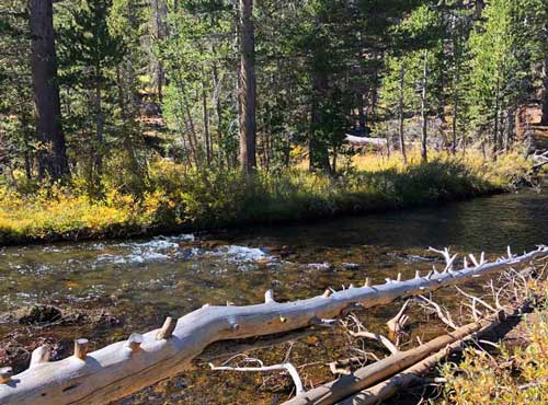 Lee Vining Creek - Mono County