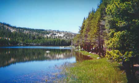 Fishing Burnside Lake