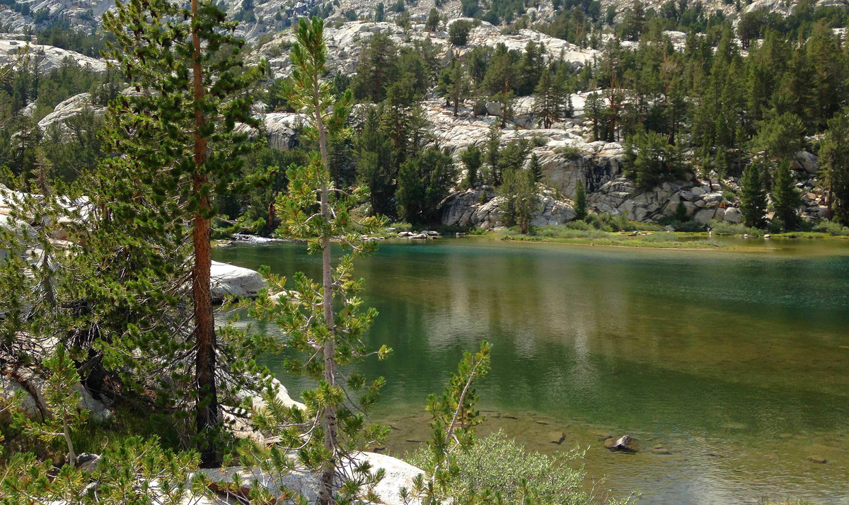 Dingleberry Lake