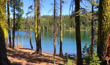 Feely Lake - Tahoe National Forest