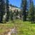 grouse-lake-dw