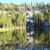 grouse-lake-dw