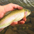 indian-creek-res-ac
