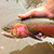 indian-creek-res-ac