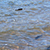 indian-creek-res-ac