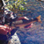 lake-genevieve-ec