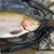 ef-carson-river-ac