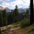 illilouette-creek-mc