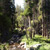 illilouette-creek-mc