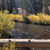 lee-vining-creek-mc