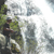 tuolumne-river-glenaulin