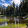 upper-truckee-river-ec