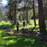 upper-truckee-river-ec
