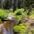 upper-truckee-river-ec