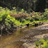 upper-truckee-river-ec