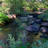 upper-truckee-river-ec
