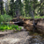 upper-truckee-river-ec
