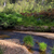 upper-truckee-river-ec