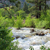 wf-carson-river-ac