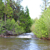 wf-carson-river-ac