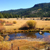 wf-carson-river-ac