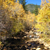 wf-carson-river-ac